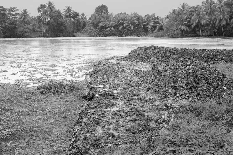 Ongoing land reclamation for settlement in the Kuttanad wetlands in Alappuzha district, Kerala